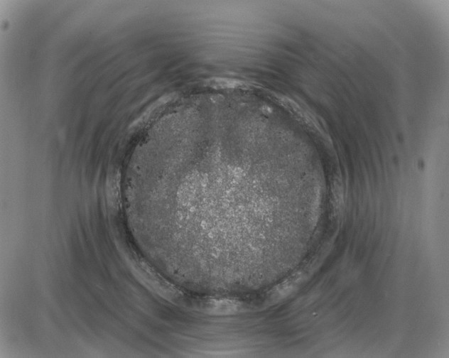 X0000085040376200703191239