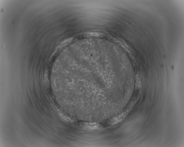 X0000085040377200703191239