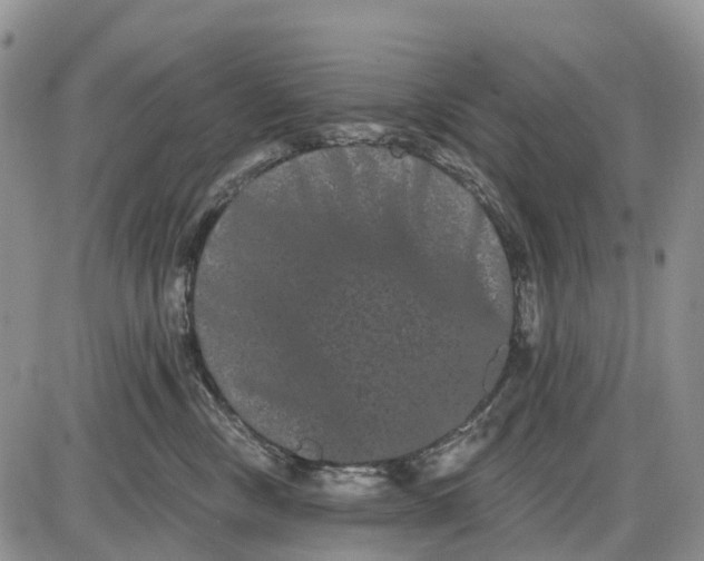 X0000085040378200703191239