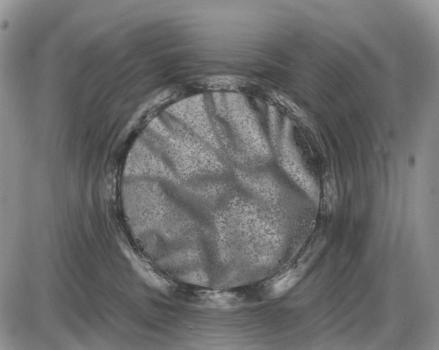 X0000085040379200703191239