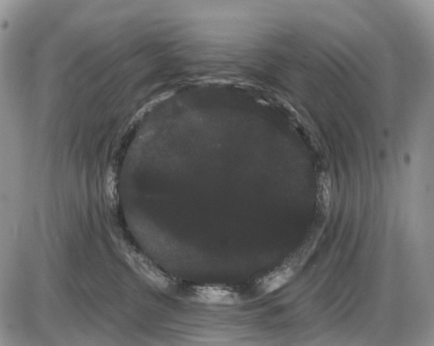 X0000085040380200703191239