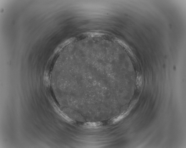 X0000085040381200703191239