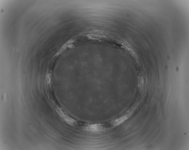 X0000085040382200703191239