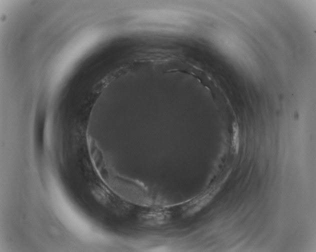 X0000085040383200703191239