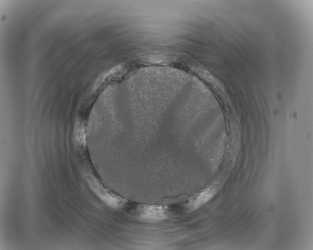 X0000085040384200703191239