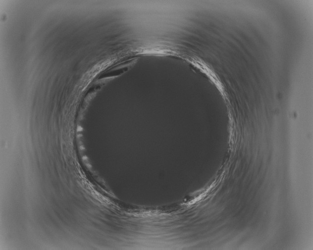 X0000085040385200703191238