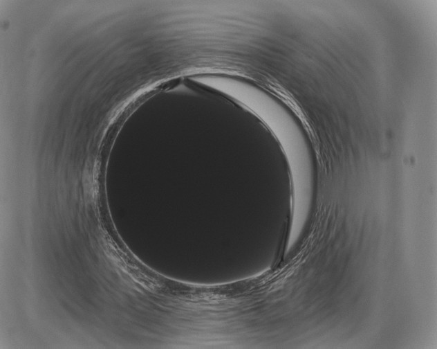 X0000085040387200703191238