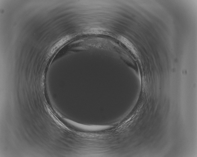 X0000085040389200703191238