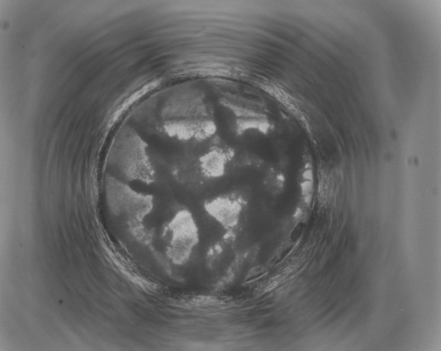 X0000085040390200703191238