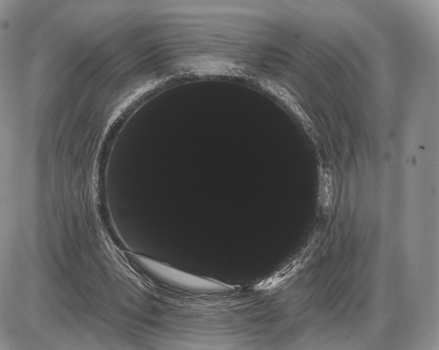 X0000085040391200703191238