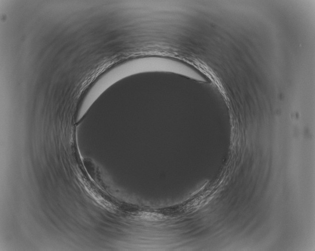 X0000085040393200703191238