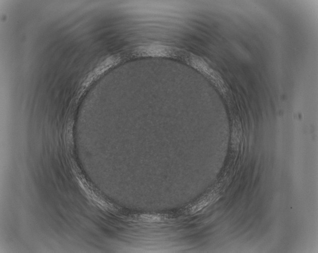 X0000085040394200703191238