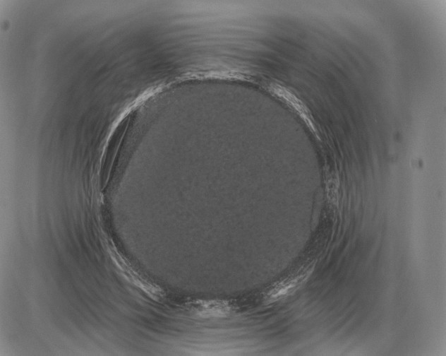 X0000085040395200703191238