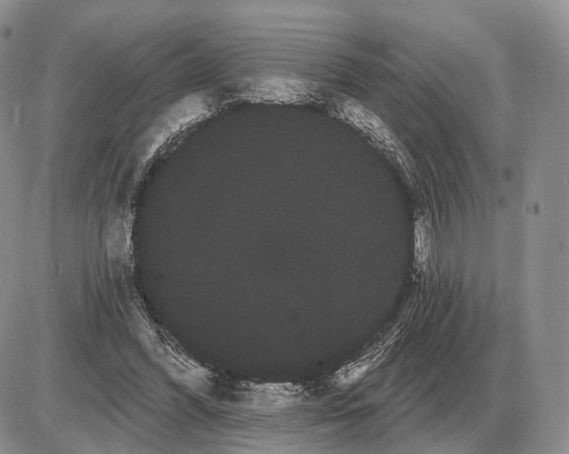 X0000085040396200703191238