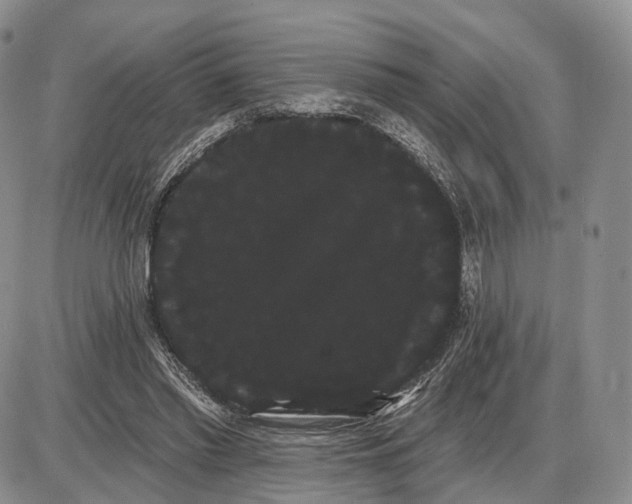 X0000085040397200703191238