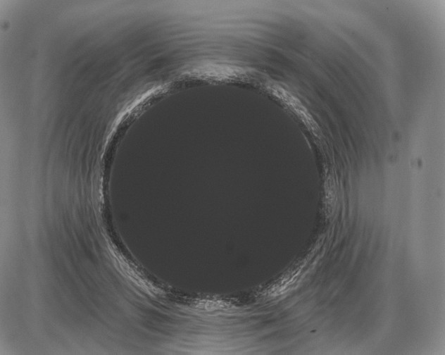 X0000085040399200703191238