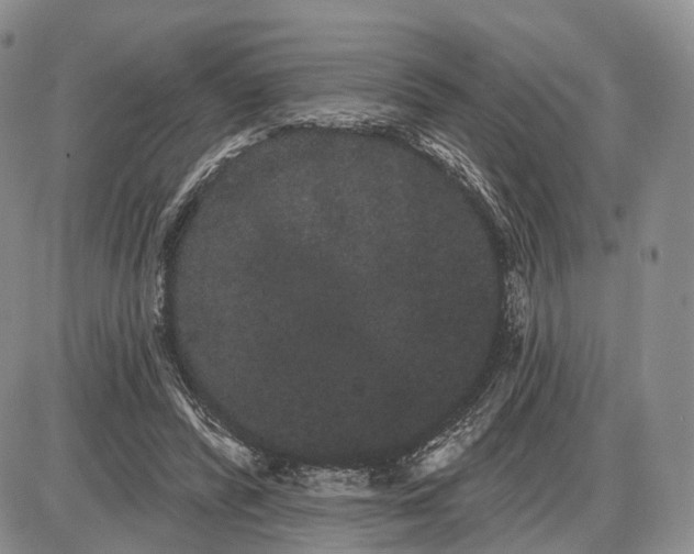 X0000085040400200703191238