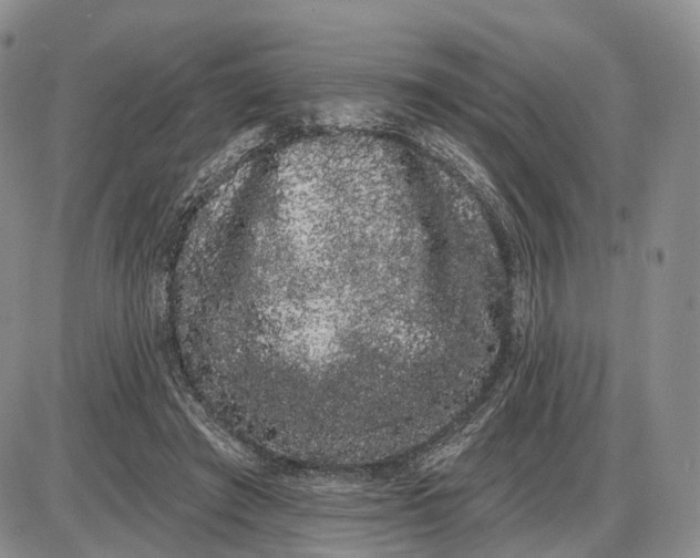 X0000085040401200703191238