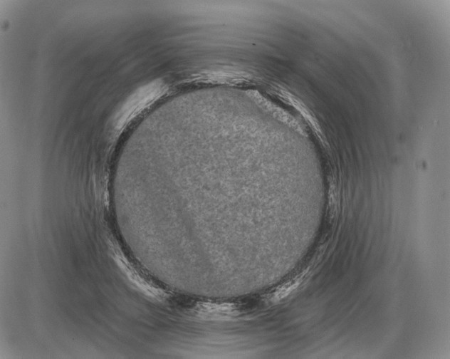 X0000085040403200703191238