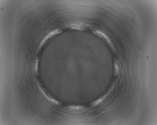 X0000085040404200703191238