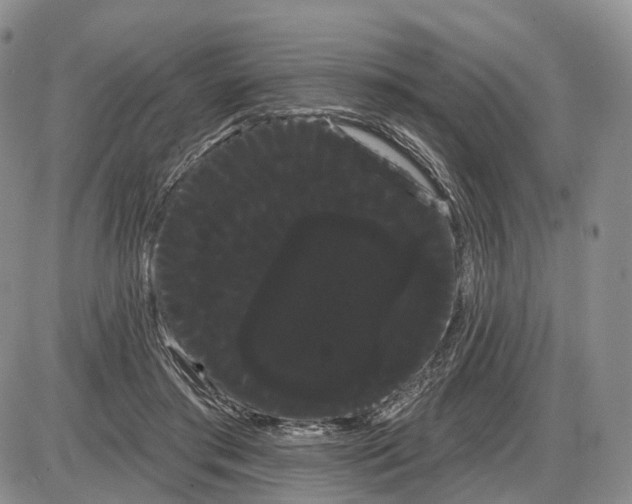 X0000085040405200703191238