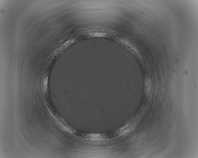 X0000085040406200703191238