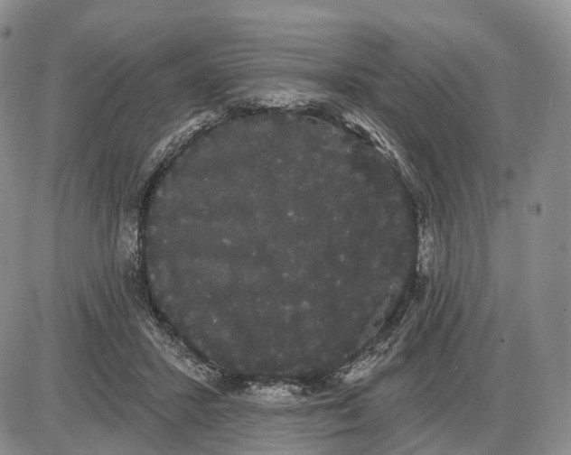 X0000085040407200703191238