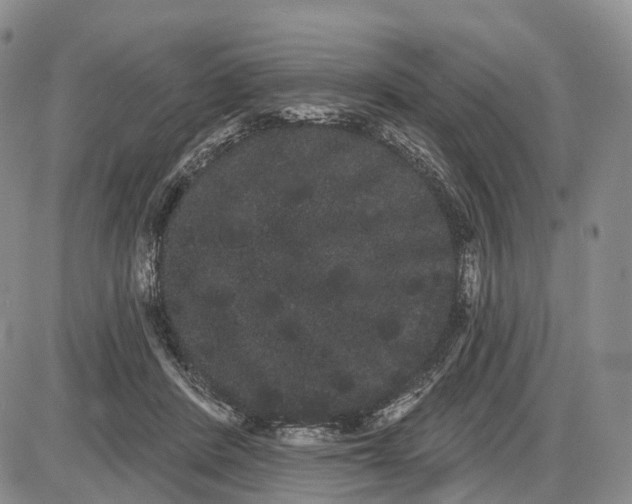 X0000085040408200703191238