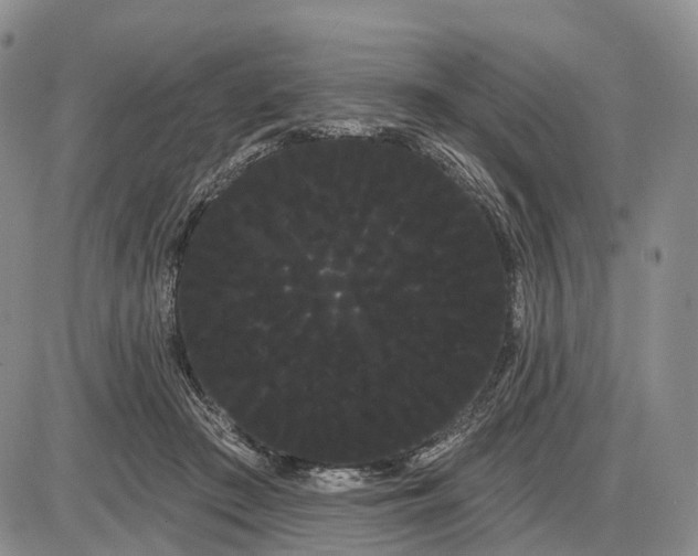 X0000085040409200703191238