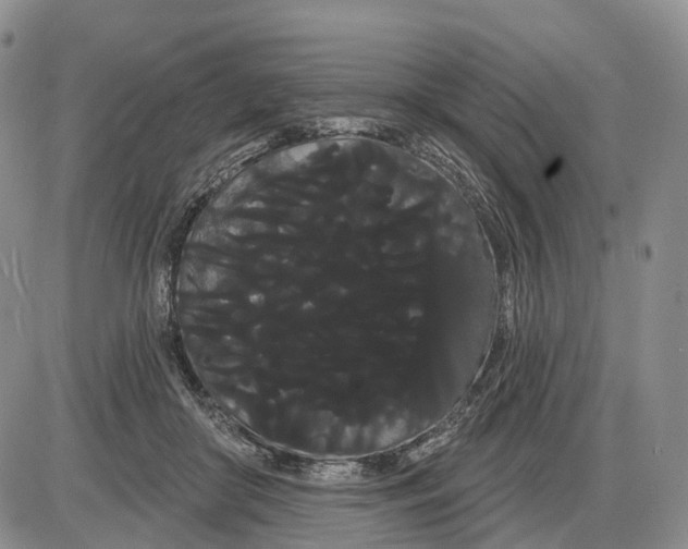 X0000085040410200703191238