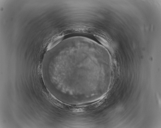 X0000085040411200703191238