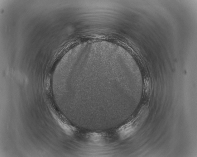 X0000085040412200703191238