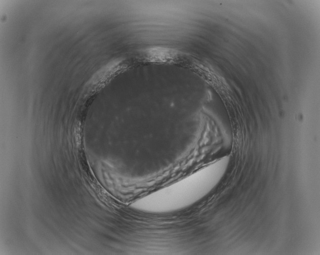 X0000085040413200703191238