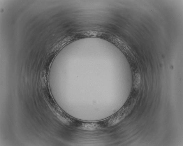 X0000085040414200703191238