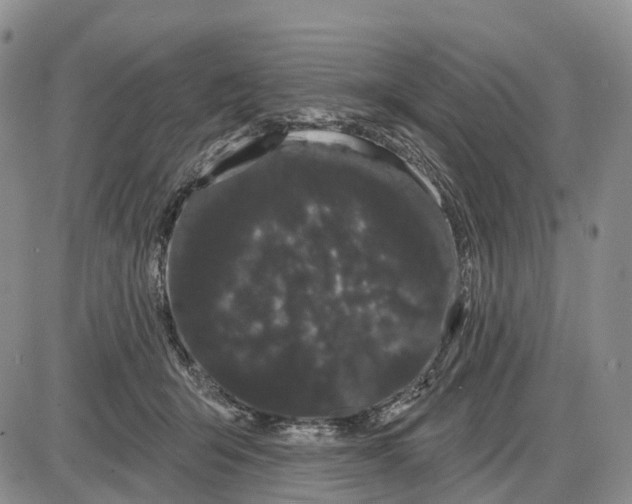 X0000085040415200703191238