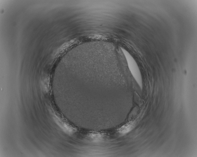 X0000085040416200703191238