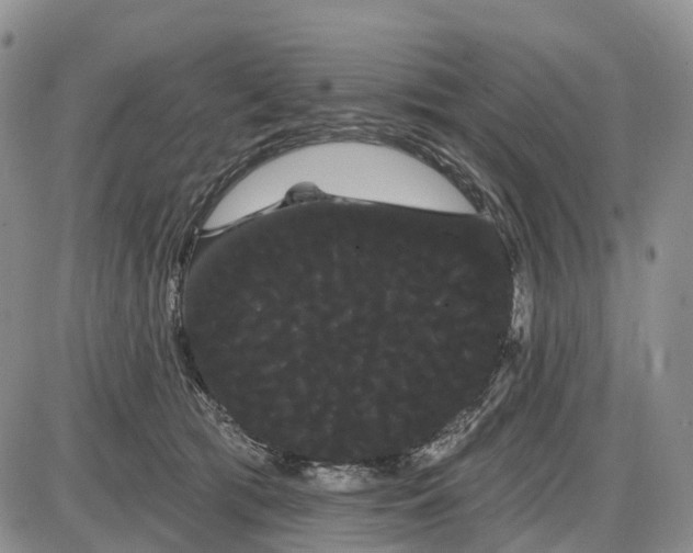 X0000085040417200703191238