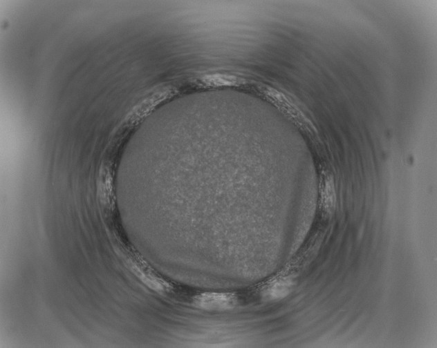 X0000085040418200703191238