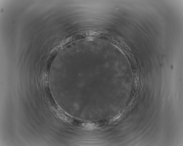 X0000085040419200703191238