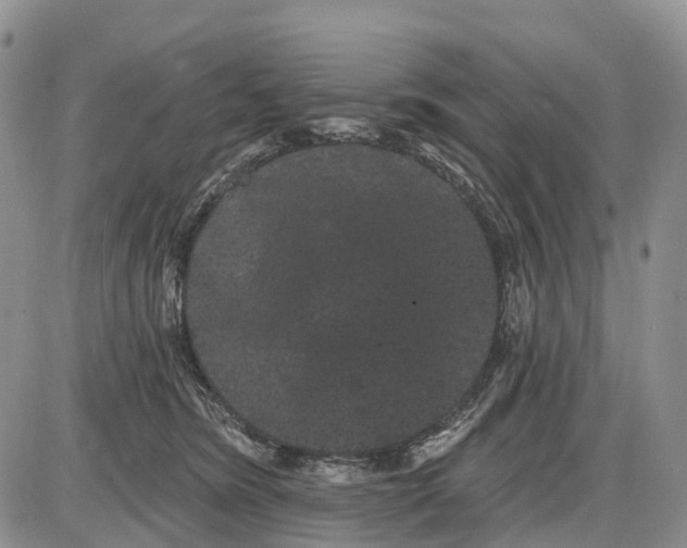 X0000085040420200703191238