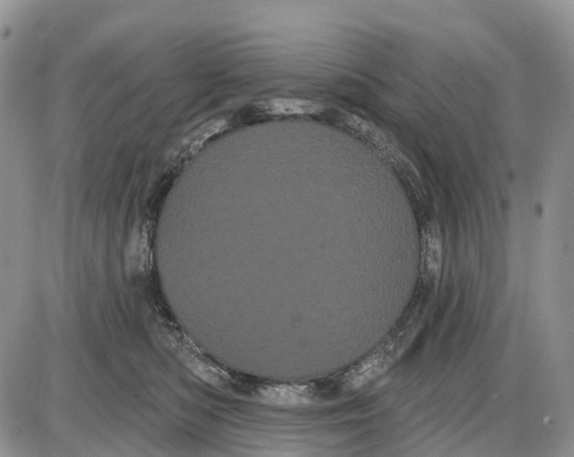 X0000085040422200703191238