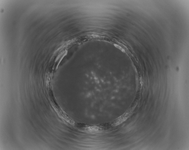 X0000085040423200703191238