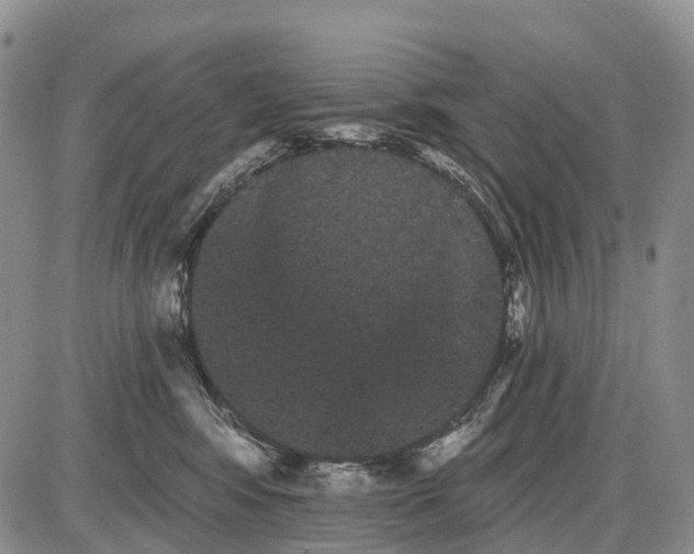 X0000085040424200703191238