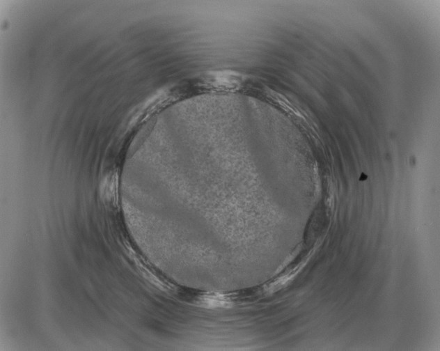 X0000085040425200703191238