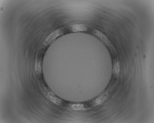 X0000085040426200703191238