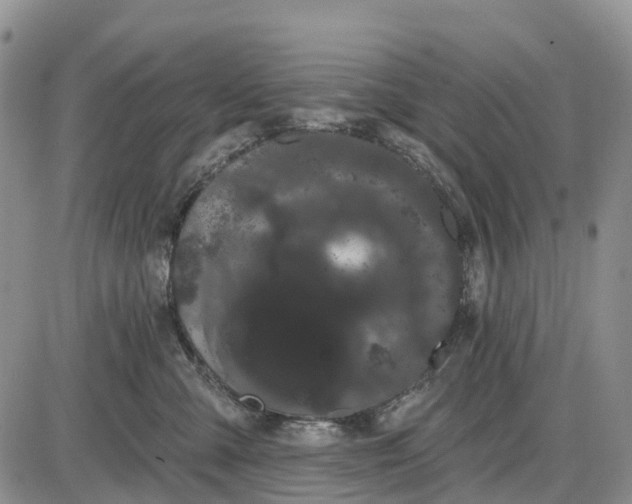 X0000085040427200703191238