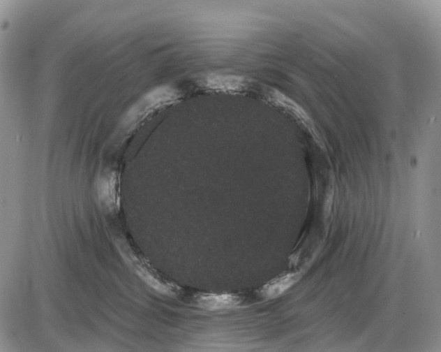 X0000085040428200703191238