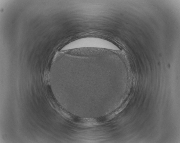 X0000085040429200703191238