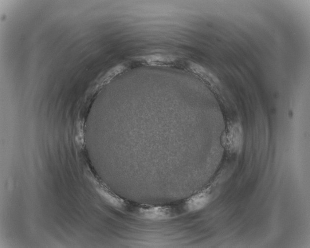 X0000085040430200703191238