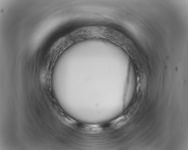 X0000085040431200703191238